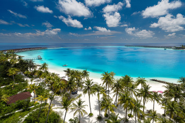 오블루 셀렉트 로비길리