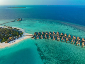 에메랄드 파루푸시